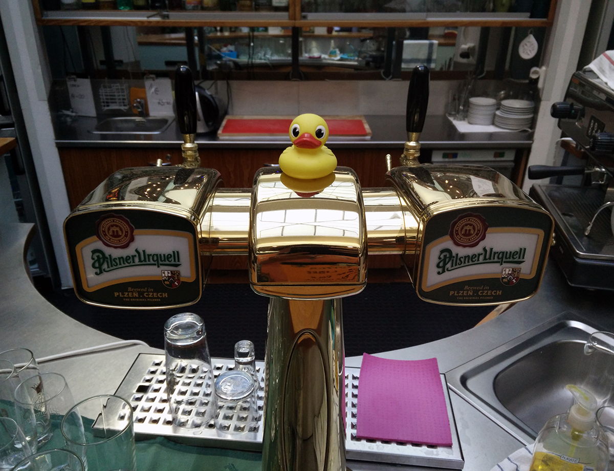 Un canard sur un bar - Prague